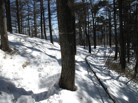 20180209hike (95)
